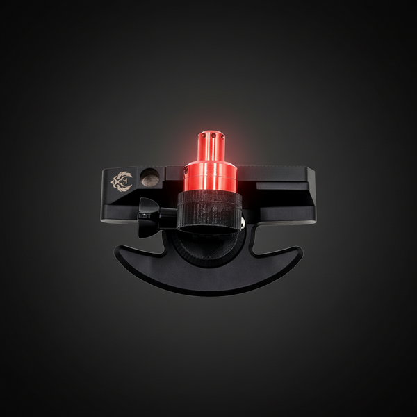 Wing + Laser Pointer System